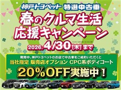 ヴォクシー S-Z