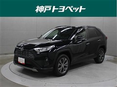 RAV4 G