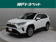 RAV4 G Zパッケージ