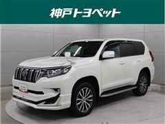 ランドクルーザープラド TZ-G
