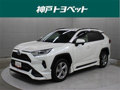 RAV4 HV X