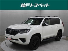 ランクルプラド TX L マットB