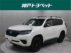 ランクルプラド TX L マットB