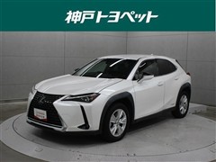 UX250h バージョンC