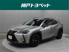 UX250h アーバンエレガンス