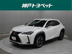 UX250h バージョンL