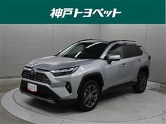 RAV4 HV G