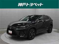NX300 ブロンズエディション