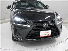 NX300 ブロンズエディション