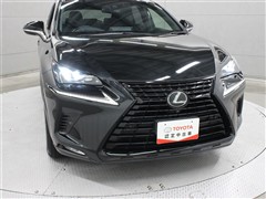NX300 ブロンズエディション