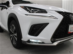 NX300 Fスポーツ