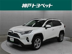 RAV4 HV G