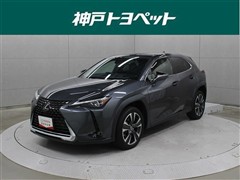 UX250h バージョンL