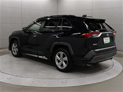 RAV4 HV G