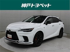 RX500hFスポーツパフォマンス