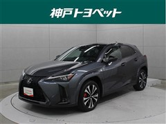 UX300hFスポエモショナルエクス