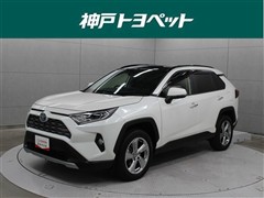 RAV4 HV G