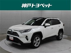 RAV4 HV G