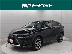 NX300h バージョンL