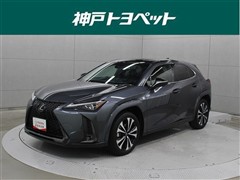 UX250h Fスポエモ Exp