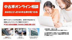 カローラHV WxB