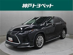RX300 バージョンL