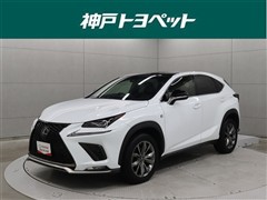 NX300 Fスポーツ