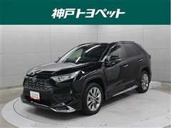 RAV4 G Zパッケージ