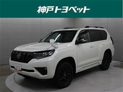 ランクルプラド TX L マットB