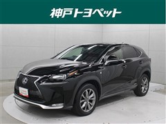 NX300h Fスポーツ