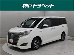 エスクァイアHV GIプレ Bテーラー