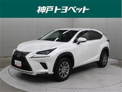 NX300h Iパッケージ