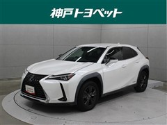 UX250h ブラウンエディション