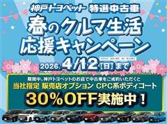 カローラアクシオ X