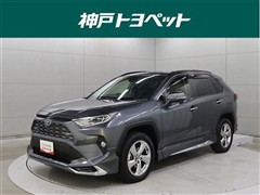 RAV4 HV G
