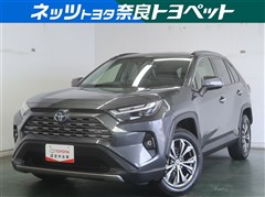 RAV4 HV G