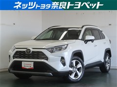 RAV4 G