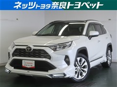 RAV4 G Zパッケージ