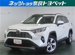 RAV4 G
