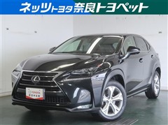 NX300h バージョンL