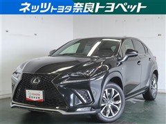NX300h Fスポーツ