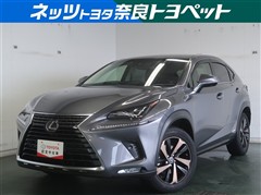 NX300h バージョンL