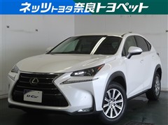 NX200t