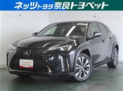 UX250h Fスポーツ