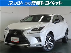 NX300h スパイスアンドシック