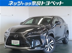 レクサス NX300h スパイスアンドシック
