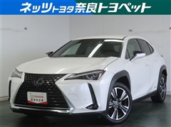 UX250h バージョンC