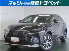NX300h Fスポーツ
