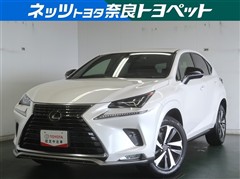 レクサス NX300 スパイス&シック