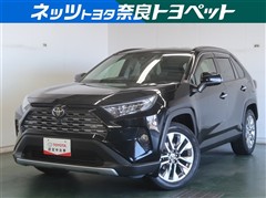 ＲＡＶ４